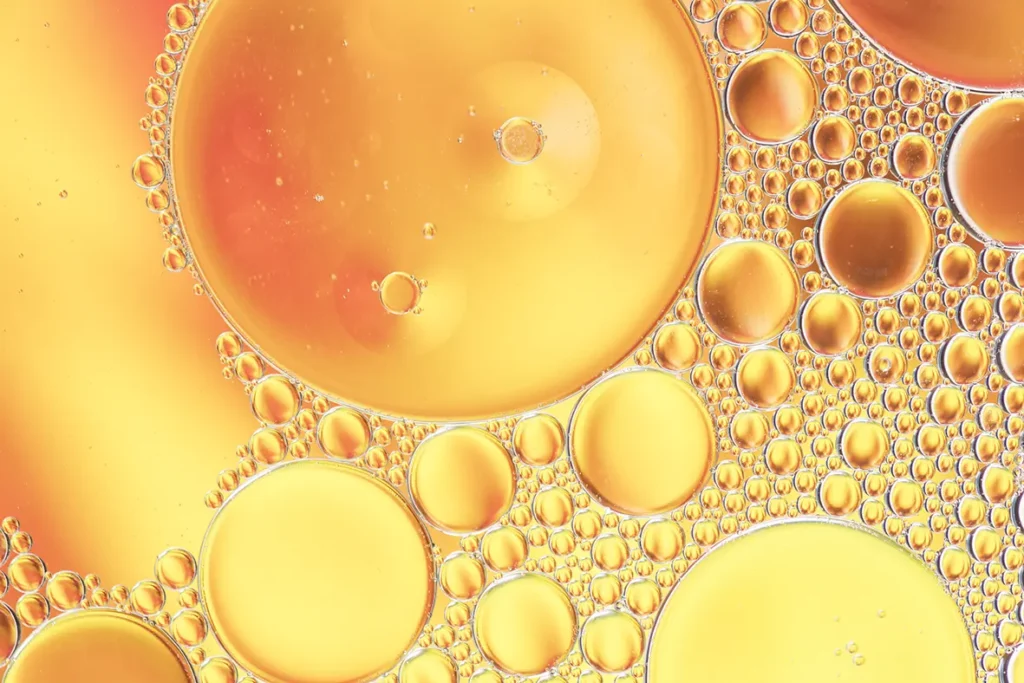 Acyloglicerole w technologii liposomalnej Dwatro