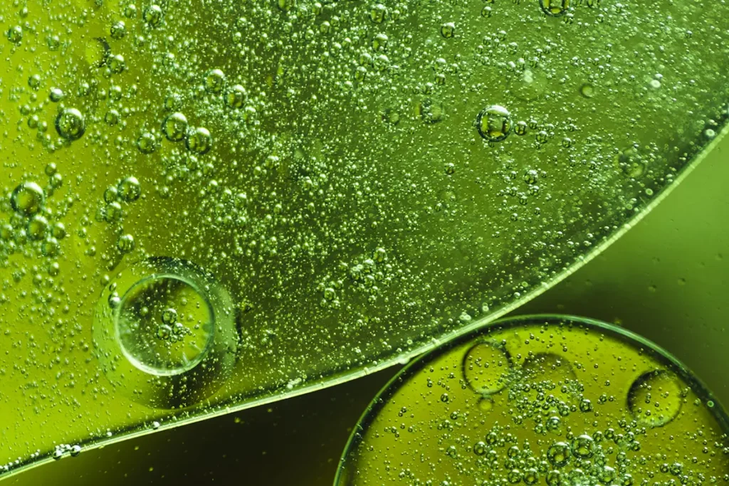 dwatro-bioflawonoidy-slownik--dwatrolaboratories