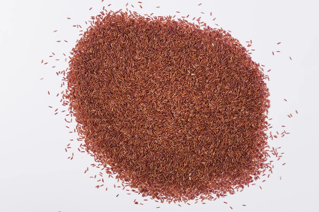 dwatro-czerwony-ryz-slownik