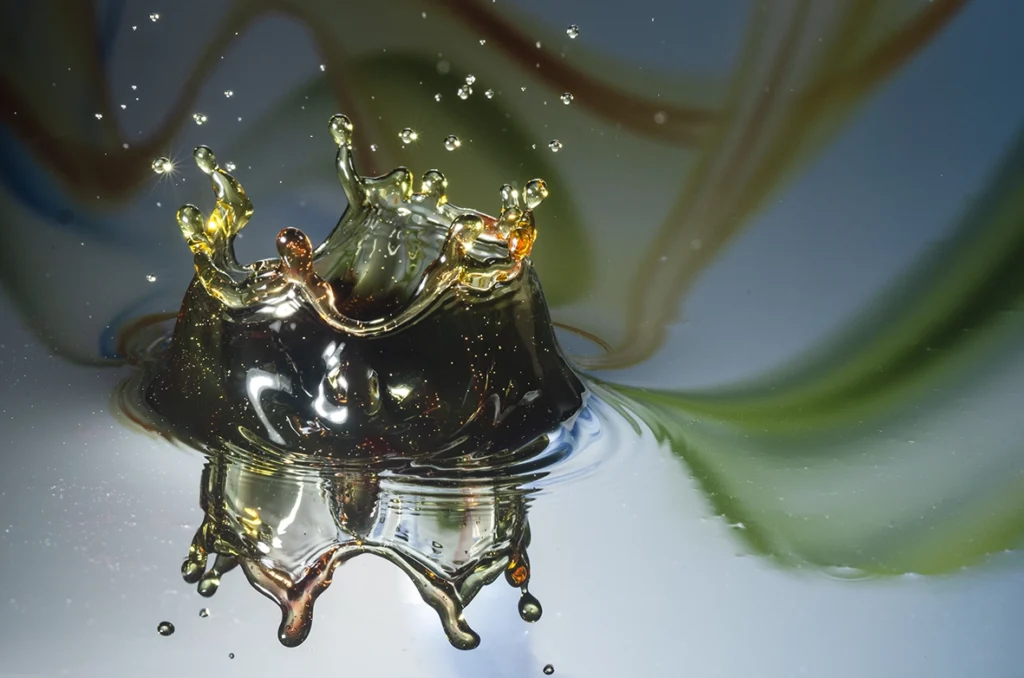 ekstrakty-roslinne-dwatro