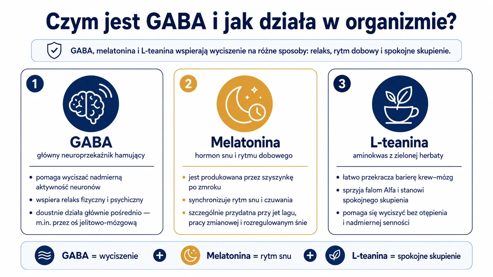 Czym jest GABA i jak działa w organizmie?